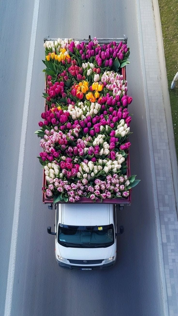 Портрет человека